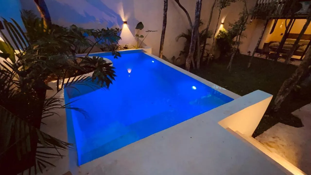 1 Bedroom Apartment In La Veleta With Private Pool And Garden Tulum 0*,  Mexico